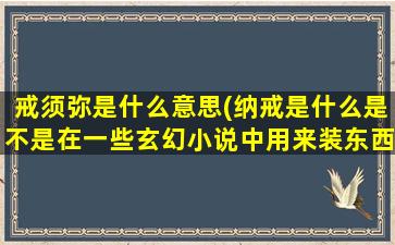 戒须弥是什么意思(纳戒是什么是不是在一些玄幻小说中用来装东西的 那么纳戒是所有小说都可以出现的吗)